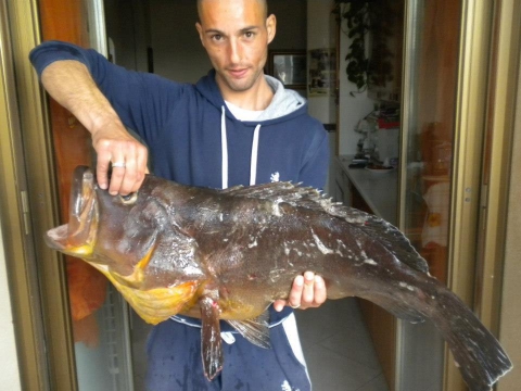 Gli apneisti di Bari: �A 25 metri sott'acqua per trovare pesci meno ''smaliziati''�